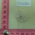 CFJ5086