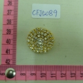 CFJ5089