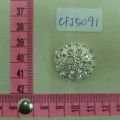 CFJ5091