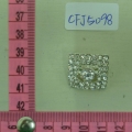 CFJ5098