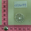 CFJ5099