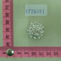 CFJ5101