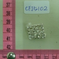 CFJ5102