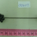 CFJ5117
