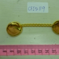 CFJ5119