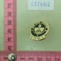 CFJ5302