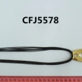 CFJ5578