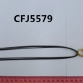 CFJ5579