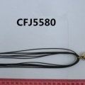 CFJ5580