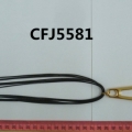 CFJ5581