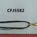 CFJ5582