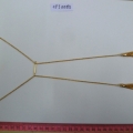 CFJ5583