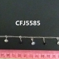 CFJ5585