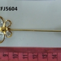 CFJ5604