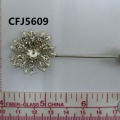 CFJ5609