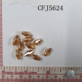 CFJ5624