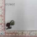 CFJ5637