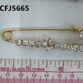 CFJ5665