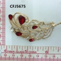 CFJ5675