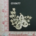 CFJ5677