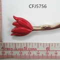 CFJ5756