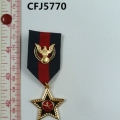 CFJ5770