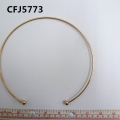 CFJ5773