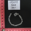 CFJ5777