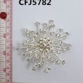 CFJ5782