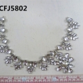 CFJ5802