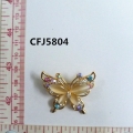 CFJ5804