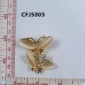 CFJ5805