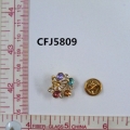 CFJ5809