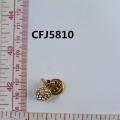 CFJ5810