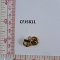 CFJ5811