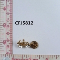 CFJ5812