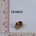 CFJ5813