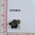 CFJ5814