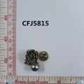 CFJ5815