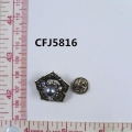 CFJ5816