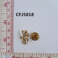 CFJ5818