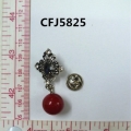 CFJ5825