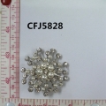 CFJ5828