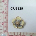 CFJ5829