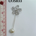 CFJ5833
