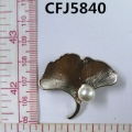 CFJ5840