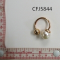 CFJ5844