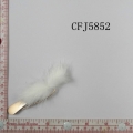 CFJ5852