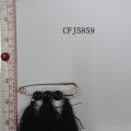 CFJ5859