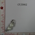 CFJ5862